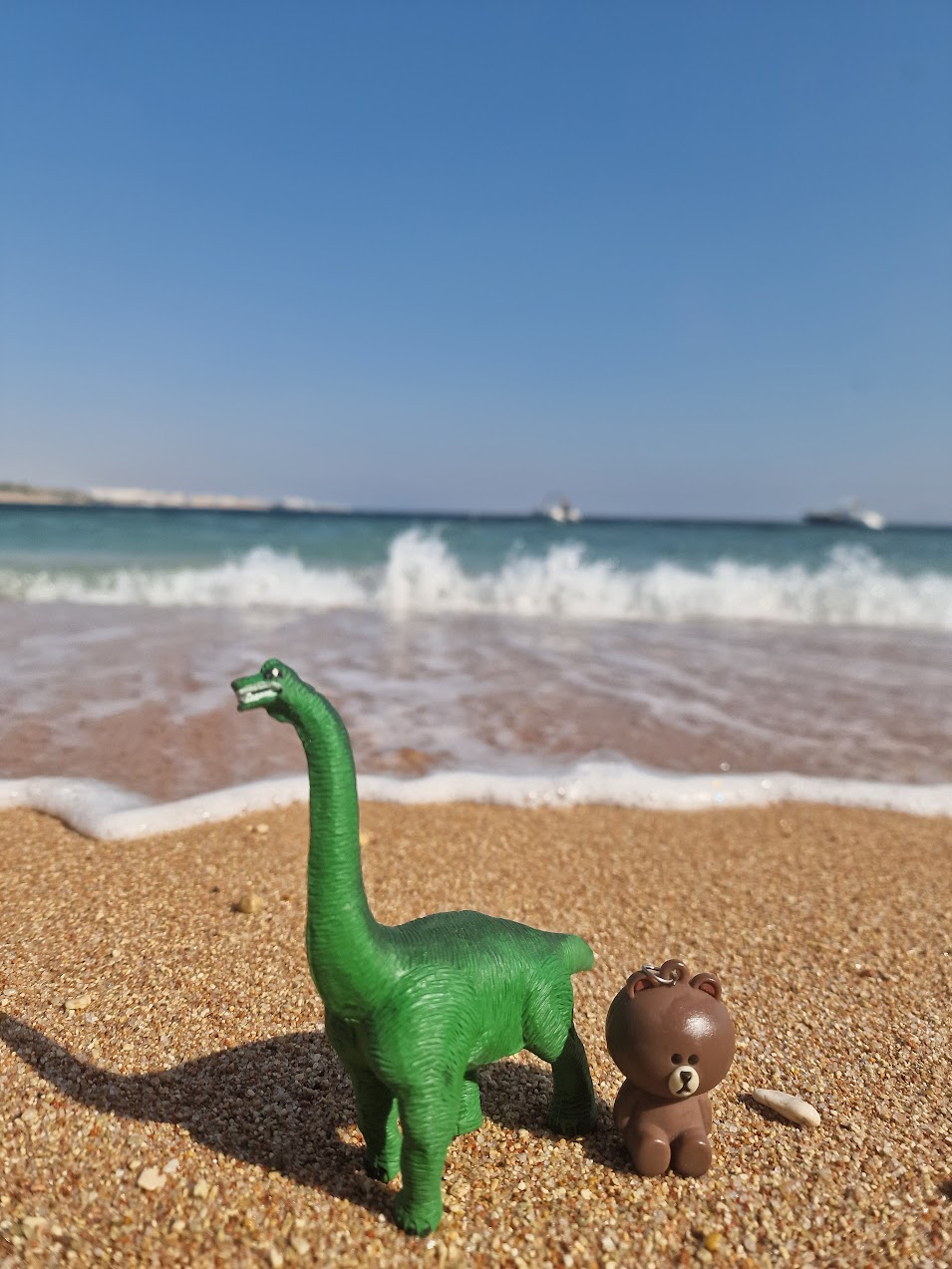 Yarmie and Flappy at the beach